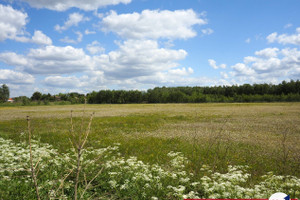 Działka na sprzedaż 3008m2 bydgoski Nowa Wieś Wielka Olimpin - zdjęcie 1