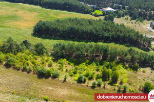 Działka na sprzedaż 3029m2 bydgoski Sicienko Dąbrówka Nowa - zdjęcie 2