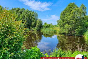 Działka na sprzedaż 3153m2 nakielski Szubin - zdjęcie 2