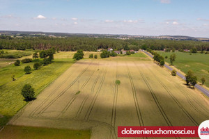 Działka na sprzedaż 48383m2 nakielski Szubin Kowalewo - zdjęcie 3