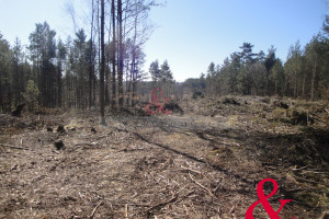 Działka na sprzedaż 3100m2 kartuski Sulęczyno Borek Kamienny - zdjęcie 1