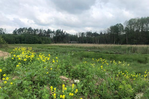 Działka na sprzedaż 1500m2 żyrardowski Radziejowice Zboiska - zdjęcie 2