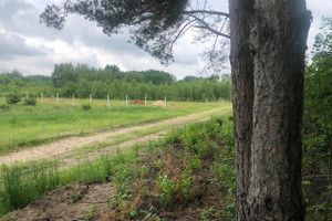 Działka na sprzedaż 1258m2 żyrardowski Radziejowice Zboiska - zdjęcie 1