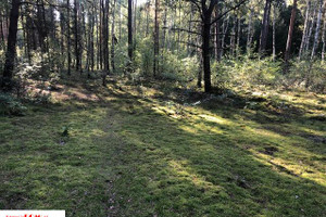 Działka na sprzedaż 3700m2 grodziski Grodzisk Mazowiecki Marynin - zdjęcie 1