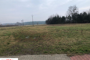 Działka na sprzedaż 4630m2 grodziski Grodzisk Mazowiecki Książenice Mazowiecka - zdjęcie 3