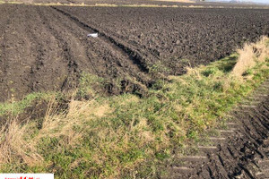 Działka na sprzedaż 5800m2 warszawski zachodni Błonie Radzików - zdjęcie 1