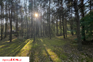 Działka na sprzedaż 3699m2 grodziski Grodzisk Mazowiecki Marynin Stumilowego Lasu - zdjęcie 1