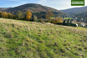 Działka na sprzedaż 2044m2 cieszyński Brenna - zdjęcie 1