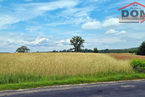 Działka na sprzedaż 13800m2 drawski Kalisz Pomorski Stara Korytnica - zdjęcie 1