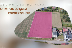 Działka na sprzedaż 5409m2 raciborski Krzanowice Borucin Kuchelnicka - zdjęcie 1