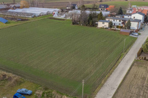 Działka na sprzedaż 4500m2 raciborski Krzanowice Borucin Grunwaldzka - zdjęcie 2