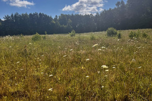 Działka na sprzedaż 1275m2 olsztyński Gietrzwałd Unieszewo - zdjęcie 3