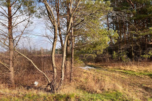 Działka na sprzedaż otwocki Wiązowna Żanęcin Trakt Lubelski - zdjęcie 1