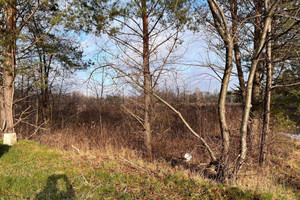 Działka na sprzedaż 3880m2 otwocki Wiązowna Żanęcin Trakt Lubelski - zdjęcie 4