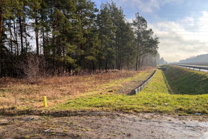 Działka na sprzedaż 3880m2 otwocki Wiązowna Żanęcin Trakt Lubelski - zdjęcie 2