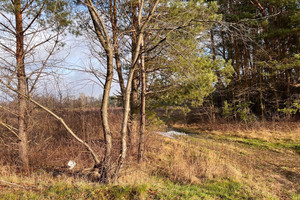 Działka na sprzedaż 3880m2 otwocki Wiązowna Żanęcin Trakt Lubelski - zdjęcie 3