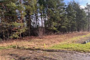 Działka na sprzedaż 3880m2 otwocki Wiązowna Żanęcin Trakt Lubelski - zdjęcie 1