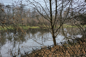 Działka na sprzedaż nowodworski Nasielsk Borkowo Rzeczna - zdjęcie 3