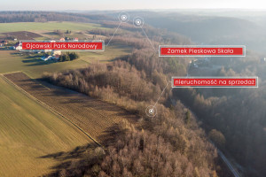 Działka na sprzedaż 12000m2 krakowski Sułoszowa - zdjęcie 1