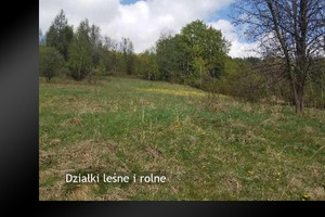 Działka na sprzedaż 12847m2 żywiecki Milówka Szare - zdjęcie 1