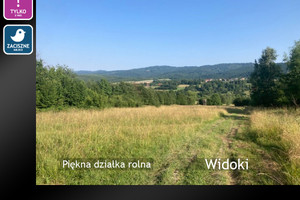 Działka na sprzedaż 3355m2 żywiecki Ślemień Kocoń - zdjęcie 1