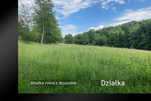 Działka na sprzedaż 2000m2 żywiecki Ślemień Kocoń - zdjęcie 2