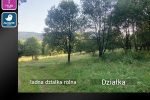 Działka na sprzedaż 3028m2 żywiecki Ślemień Kocoń - zdjęcie 2