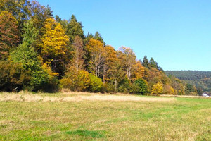 Działka na sprzedaż 884m2 gorlicki Uście Gorlickie Śnietnica - zdjęcie 1