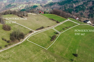 Działka na sprzedaż 23549m2 limanowski Laskowa - zdjęcie 3