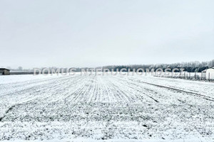 Działka na sprzedaż 1577m2 poddębicki Dalików Złotniki - zdjęcie 3