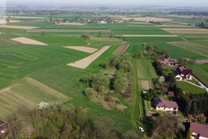 Działka na sprzedaż 7800m2 wielicki Niepołomice Wola Batorska - zdjęcie 2