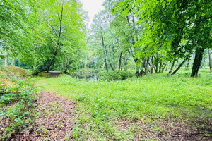 Działka na sprzedaż 37569m2 wejherowski Łęczyce Bożepole Wielkie Chmieleniecka - zdjęcie 3