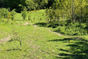 Działka na sprzedaż 3000m2 słupski Smołdzino Żelazo - zdjęcie 1