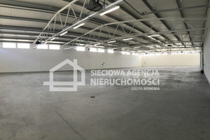 Komercyjne do wynajęcia 520m2 Gdańsk Letnica - zdjęcie 3