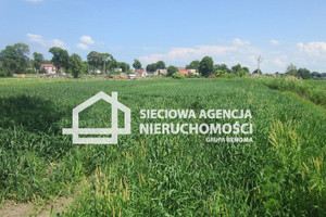 Działka na sprzedaż 4560m2 nowodworski Sztutowo - zdjęcie 1