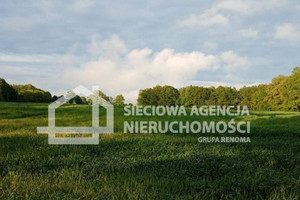 Działka na sprzedaż 12523m2 lęborski Nowa Wieś Lęborska Wilkowo Nowowiejskie - zdjęcie 3