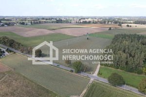 Działka na sprzedaż 1130m2 kartuski Stężyca Stężycka Huta - zdjęcie 3