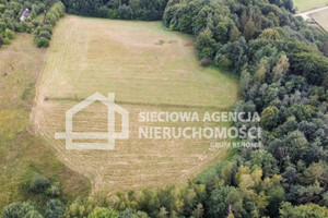 Działka na sprzedaż 1367m2 gdański Przywidz Jodłowno - zdjęcie 2