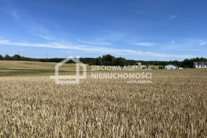 Działka na sprzedaż 3157m2 kartuski Somonino Połęczyno - zdjęcie 1