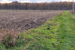 Działka na sprzedaż 1050m2 gliwicki Rudziniec Rudno - zdjęcie 1