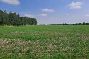 Działka na sprzedaż gliwicki Toszek Oferta dla dewelopera w Toszku - zdjęcie 1