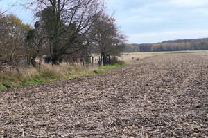 Działka na sprzedaż 1050m2 gliwicki Rudziniec Rudno - zdjęcie 2