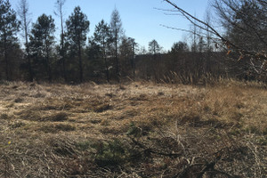 Działka na sprzedaż 1979m2 gliwicki Sośnicowice Kozłów - zdjęcie 2