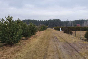 Działka na sprzedaż 2000m2 piotrkowski Wolbórz Lubiaszów - zdjęcie 3