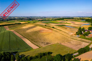 Działka na sprzedaż 40000m2 proszowicki Nowe Brzesko Grębocin - zdjęcie 2