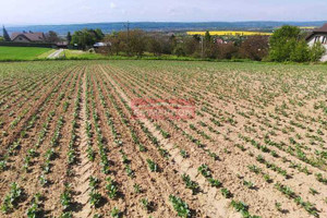 Działka na sprzedaż krakowski Zabierzów Karniowice gaj - zdjęcie 2