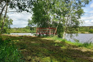 Działka na sprzedaż buski Stopnica Bosowice Toporów - zdjęcie 3