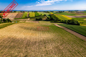 Działka na sprzedaż 40000m2 proszowicki Nowe Brzesko Grębocin - zdjęcie 3