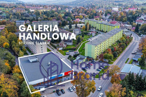 Komercyjne na sprzedaż 2501m2 kłodzki Stronie Śląskie Zielona - zdjęcie 1