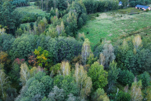 Działka na sprzedaż 4047m2 trzebnicki Oborniki Śląskie Jary Dębowa - zdjęcie 2